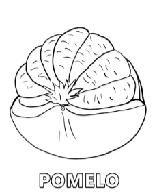 Pomelo coloring page fruit with names