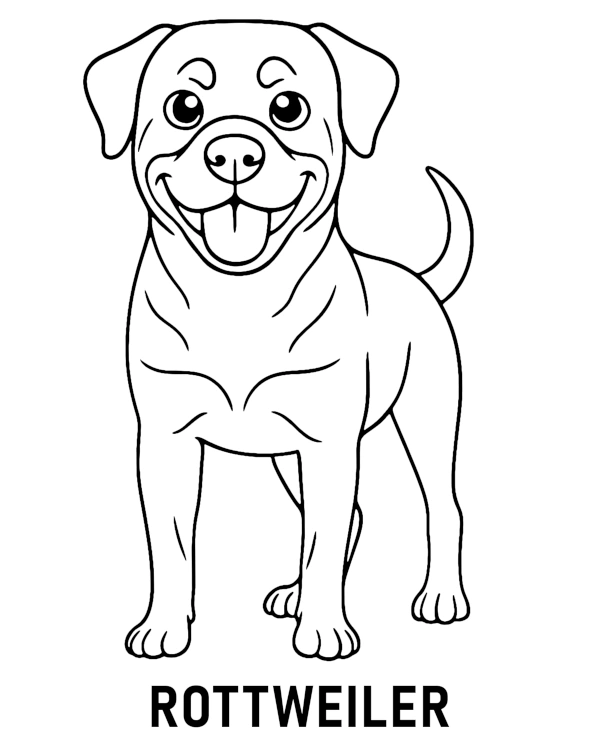 Rottweiler dog coloring page for children