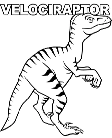 Printable velociraptor coloring pages dinosaurs