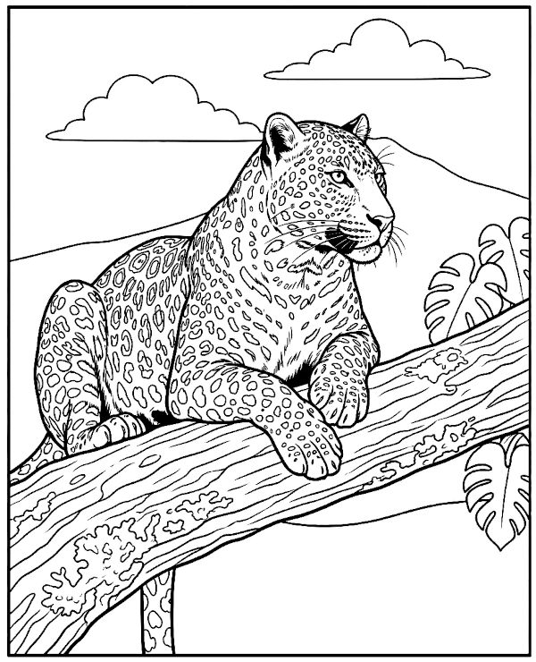 Leopard Coloring Page African Animal